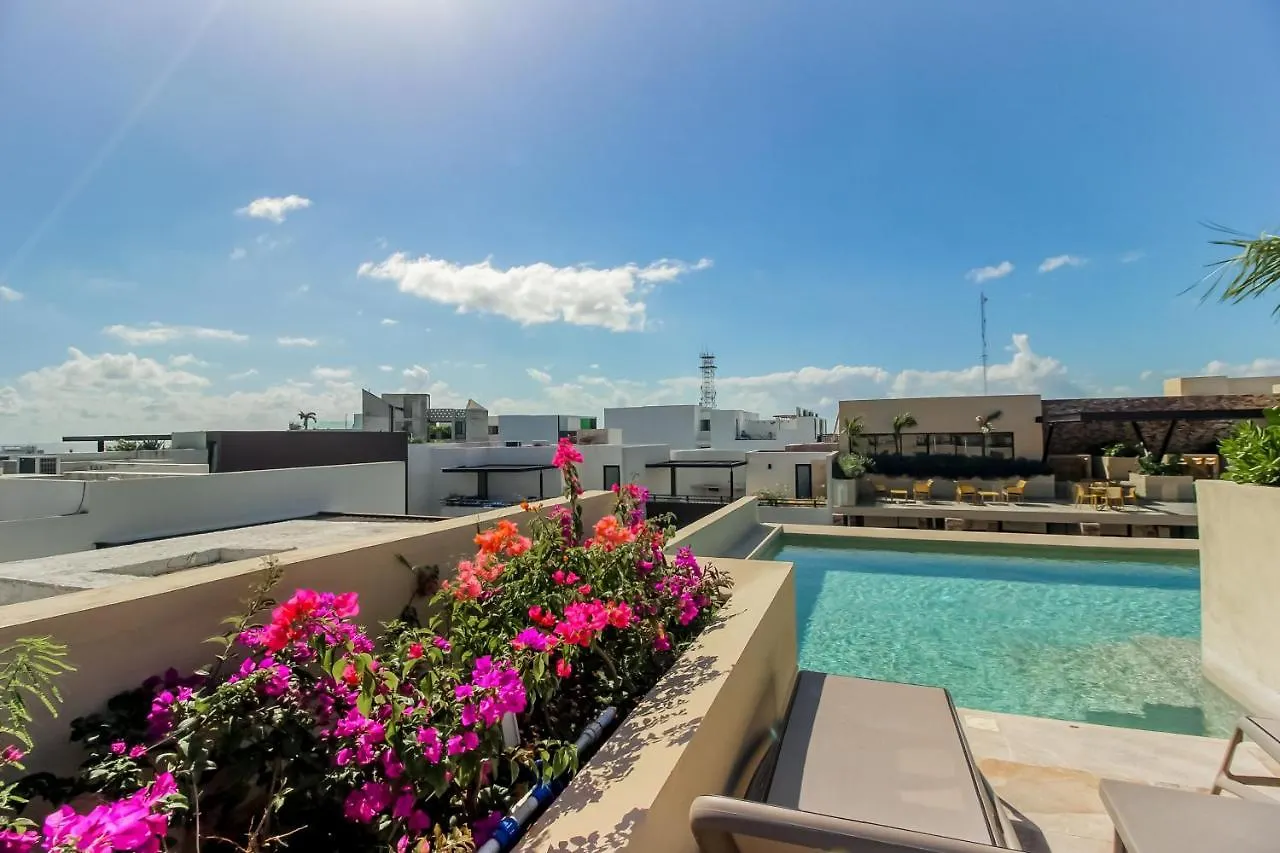 Hotel Syrena 503 Playa del Carmen